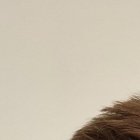 Richard Markus Kivimägi