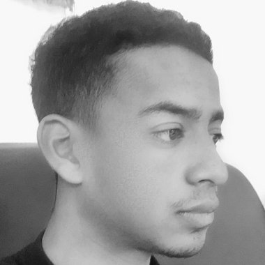 Navid H. - Freelance Developer