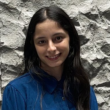 Swaroop K. - Freelance 2d Animator