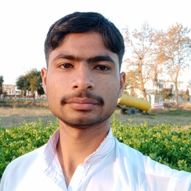 alihassan92317 - Freelance Web Designer