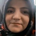 Sultan Sucup Pürçek