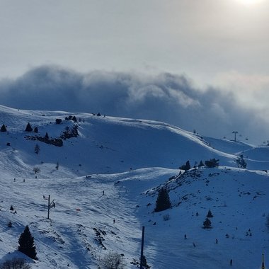 Xylo K. - Freelance Content Creator