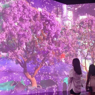 Sejeong G. - Freelance Ux Designer