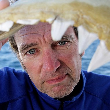 Dr M. - Freelance Presenter