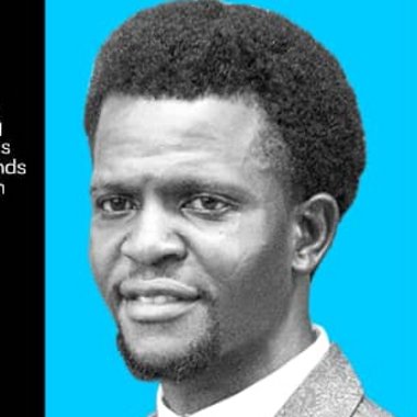 ANTHONY P. - Freelance Web Developer