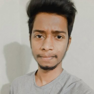 Sandeep V. - Freelance Web Developer