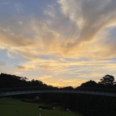 Michelle H. - Freelance Artworker