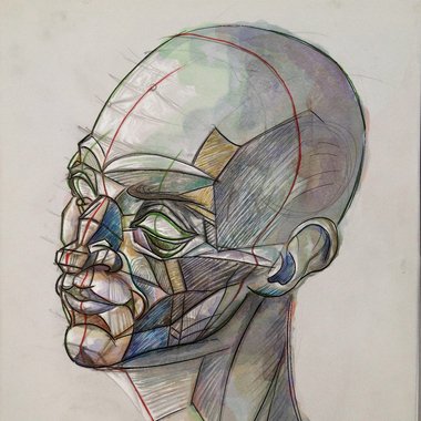 Federico P. - Freelance Illustrator