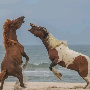 Carbino123 - Freelance Front End Developer