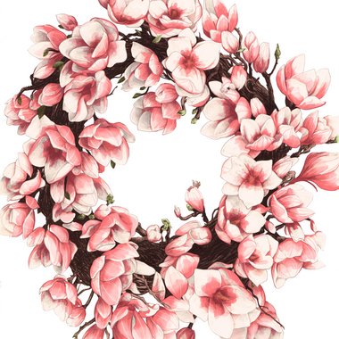 Suze L. - Freelance Illustrator