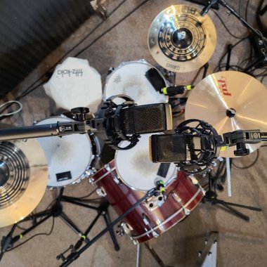 Florian F. - Freelance Musician