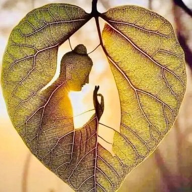 Mind9 - Freelance Poet