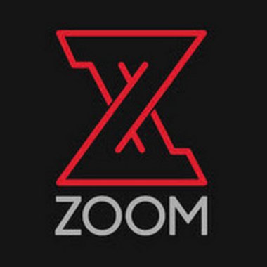 Zoom L. - Freelance 2D Animator