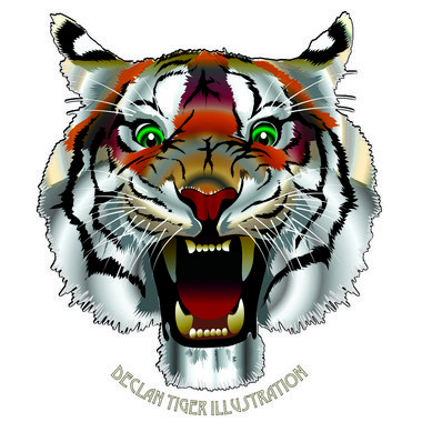Tiger  - Freelance Illustrator